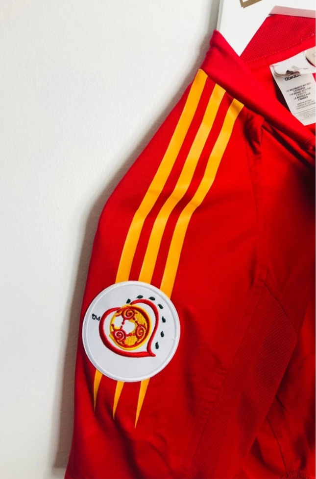 Spain home football shirt
Torres Euro 2004
