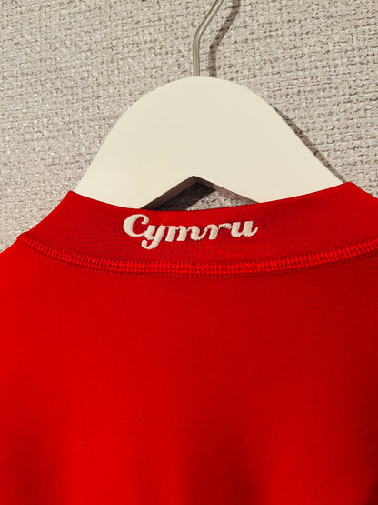 Wales home football shirt 2004/06 Large