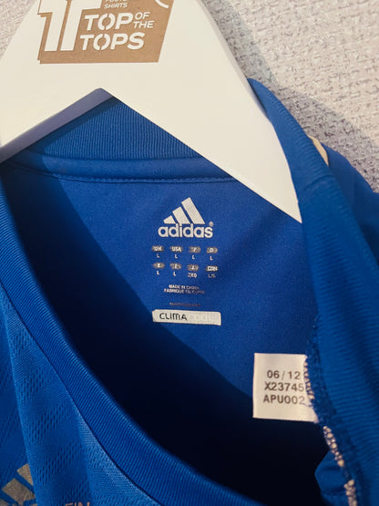 Chelsea home football shirt 2012/13 Torres Large